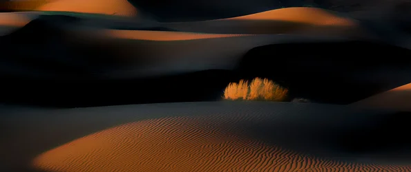 Las dunas del desierto a la hora dorada