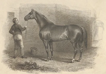 Eclipse americano, 1824