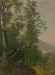 Estudio de árboles