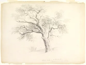 El Roble Castaño en la Finca Hosack, Hyde Park, Nueva York con Cinco Figuras y un Artista Dibujando, 1838