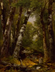 Valle boscoso