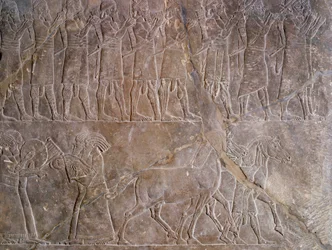 Antigüedad oriental: detalle de un bajorrelieve en piedra caliza: los músicos de la armadura de Asurbanipal o Asurbanipal, rey de Asiria (Mesopotamia) (669 a.C.-627 a.C.). 640 a.C. De Nínive. París, Museo del Louvre