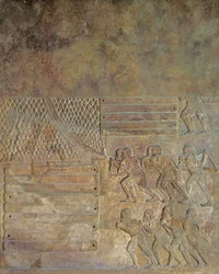 Relieve que representa el acopio de madera en la orilla antes de su transporte por mar, procedente del palacio de Sargón II, Khorsabad, Irak (piedra).