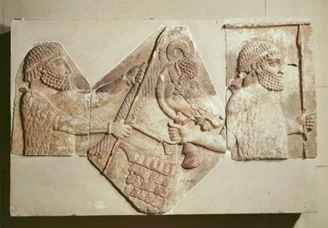 Fragmento de un relieve que representa tributarios medos