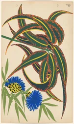 Diseño para el bordado de flores