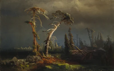 Tormentas crecientes: bosque primitivo extinto en tormentas (óleo sobre lienzo)