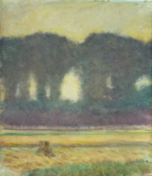 Abetos y un campo de maíz