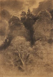 estudio de árboles