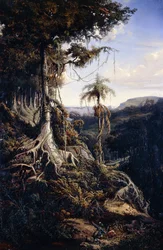 Bosque de Jala-Jala