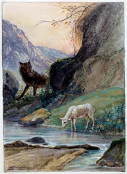 Ilustración de la fábula "El lobo y el cordero" de Jean de La Fontaine. Acuarela de Auguste Delierre (1829-1890)