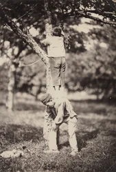 Estudio de campo francés: dos niños trepando a un árbol