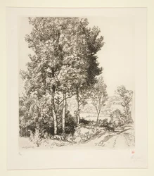 El pequeño valle de Morin cerca de Verdelot (Seine-et-Marne) (Pequeño valle de Morin cerca de Verdelot [Seine-et-Marne])