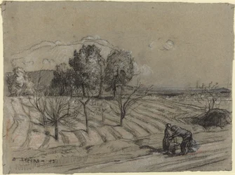Primavera