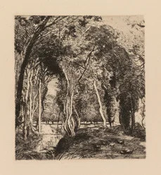 Auguste Lepère: Sotobosque, en La Rigonette (Vendèe)