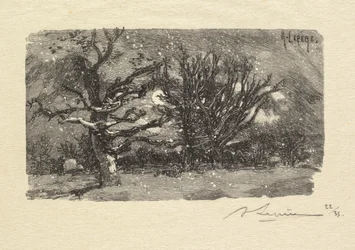 Bosque de Fontainebleau: Au dormoir de Lantara (La Forêt de Fontainebleau: Au dormoir de Lantara)