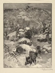 Bosque de Fontainebleau: Acantilado de Cuvier-Châtillon
