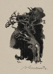 El Furioso