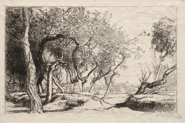 El árbol torcido