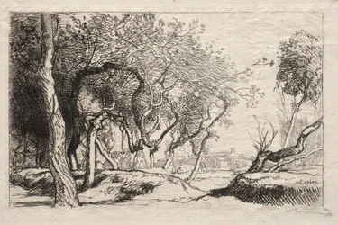 El Árbol Retorcido, 1915