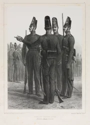Arnoutes Guardacostas