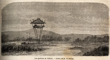 Un guardia de arroz, cerca de Batavia (actual Yakarta). Dibujo de M. de Molins, para ilustrar su viaje a Java