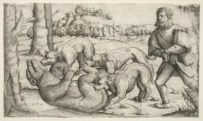 Caza de Osos