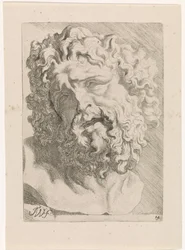 Cabeza de Laocoonte Estudios para un libro de dibujo a partir de esculturas y figuras clásicas de Anthony van Dyck (título de la serie)
