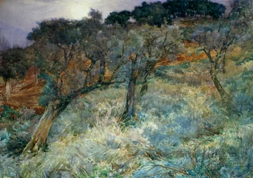 olivar, de Augusto Corelli (1853-1910)