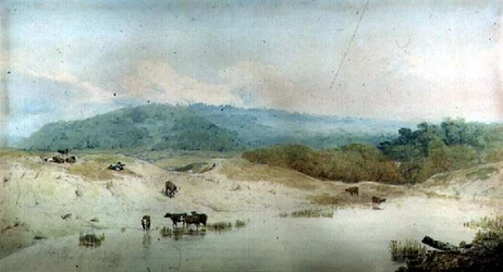 Vista en Yorkshire, río y ganado