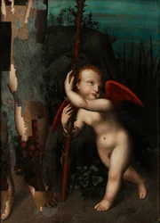 Cupido con una Mirto