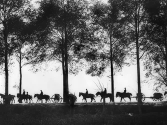 Vista, en silueta, de limbers de artillería australiana cargados con municiones avanzando por la carretera de Ypres, 25 de septiembre de 1917