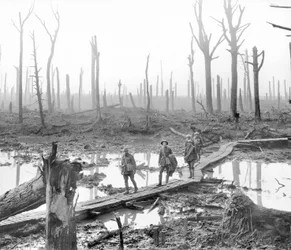 Cinco australianos, miembros de una brigada de artillería de campaña, pasando por una pista de tablones sobre barro y agua entre troncos de árboles desnudos en el devastado Chateau Wood, una parte de uno de los campos de batalla