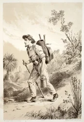 Buscador en el Camino, de La Historia de Australasia por David Blair, McGrady, Thomson y Niven, 1879