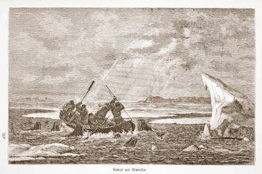 Lucha con morsa, 1876