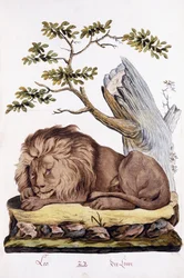 León, 1794