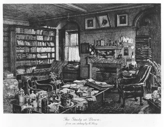 El estudio en Down, pub. 1882 (grabado)