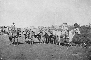 Negociantes del Interior, 1895