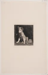 El perro y la abeja