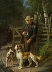 Chico con perros deportivos