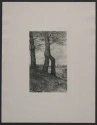 Danés: Los alrededores de Fredensborg