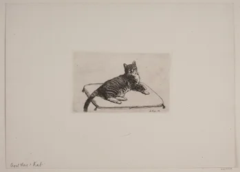 Danés: Recumbent cat