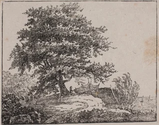 Árbol en una pendiente junto al mar