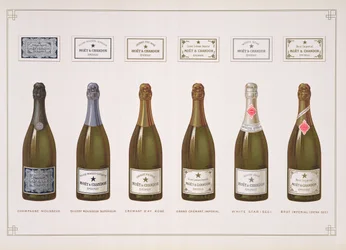 Tipos de champán y vino espumoso