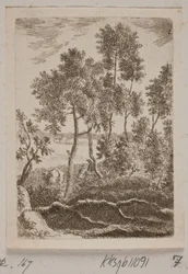 Escena de bosque