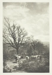 Una esquina ventosa