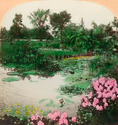 Estanque de Lirios, Tower Grove Park, St. Louis, Mo., EE.UU., 1897