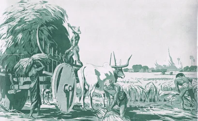 Un campo de arroz en Birmania, de los carteles escolares de MacMillan, c.1950-60s