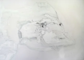 Ornitorrinco