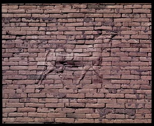 (detalle) de un toro, relieve de la puerta de Ishtar, 580 a.C.