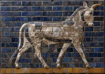 Toro sagrado - relieves de ladrillo esmaltado de la Puerta de Ishtar - Babilonia - 604-562 a. C. - periodo de Nabucodonosor - Museo Arqueológico de Estambul - Un toro, detalle de ladrillos vidriados que representan animales mitológicos que adornaban la